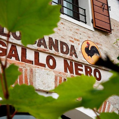 Al Gallo Nero Hotel Borgoricco Bagian luar foto