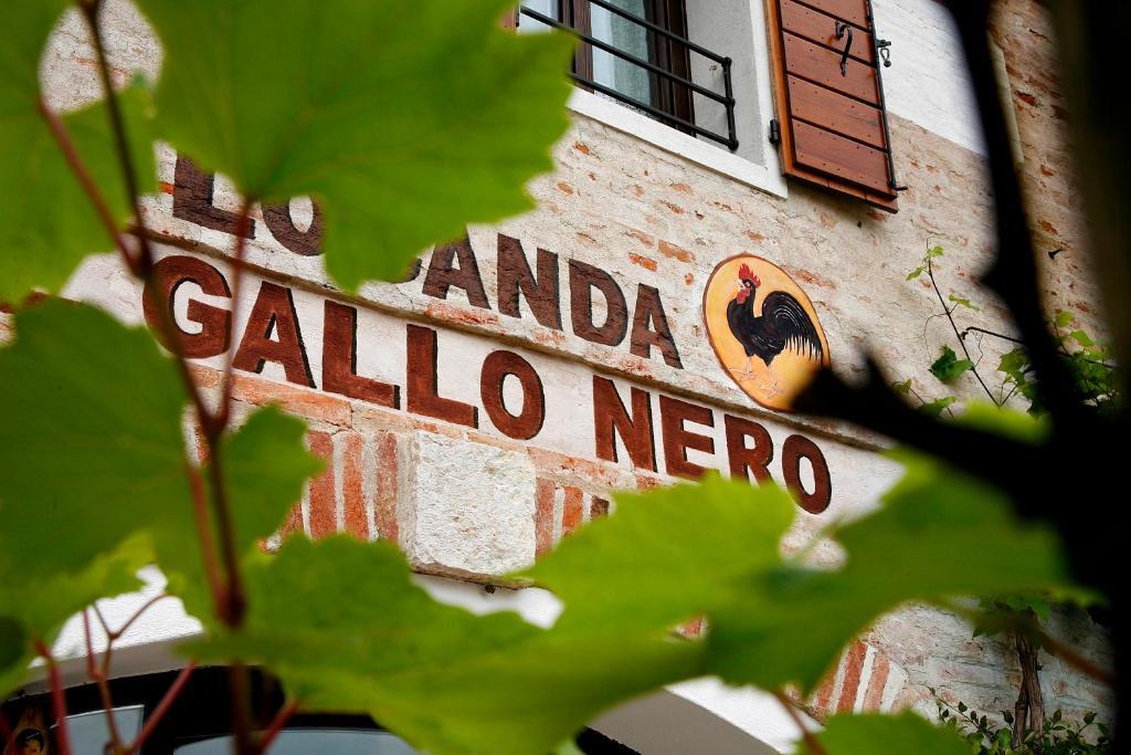 Al Gallo Nero Hotel Borgoricco Bagian luar foto